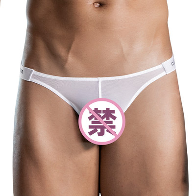 CleverModa男士三角内裤纱网透视