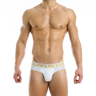 三角内裤 男士 性感低腰弹力透气柔软U凸囊袋棉11613 Vivendi Modus