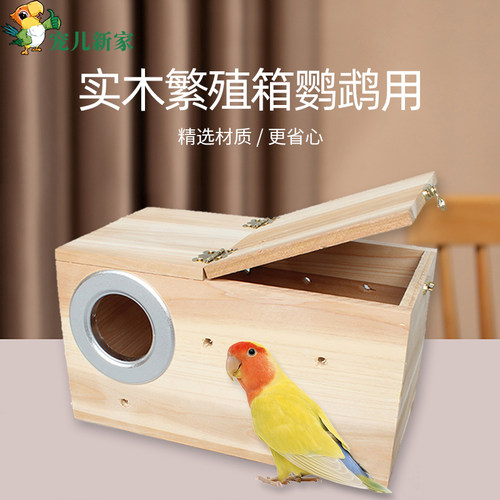 实木鹦鹉鸟繁殖箱鸟窝