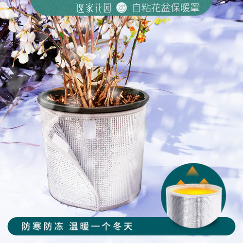 一件花盆隔热服让绿植住进空调房