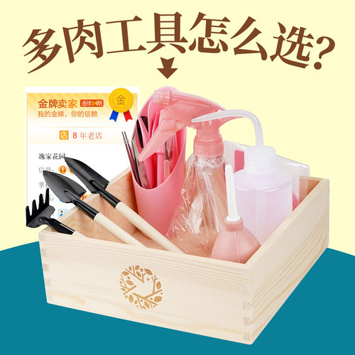 多肉植物工具套装种花