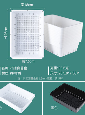 白色加厚多肉叶插育苗盆塑料生石花肉锥育苗盘小号种植播种花盆