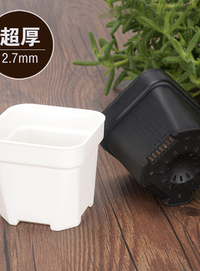 塑料大号圆角加厚多肉磨砂小黑方花盆白色叶插盆迷你植物盆栽方盆