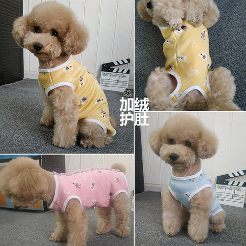 狗狗绝育服马甲包肚防着凉断奶