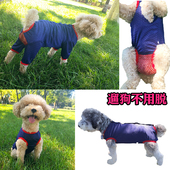 卫生裤 母狗小型犬连体生理裤 月经期姨妈裤 防骚扰外出免脱可大小便