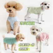 夏新款 泰迪狗狗冰丝锦纶包肚子无痕背心冰爽凉快薄护肚防尘防晒衣