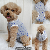 母狗狗连体生理裤 纯棉全包裹防骚扰防乱尿姨妈经期月经衣服安全裤