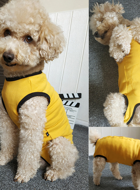 春季泰迪狗狗衣服包肚子护肚四脚背心马甲母狗断奶绝育术后护理服