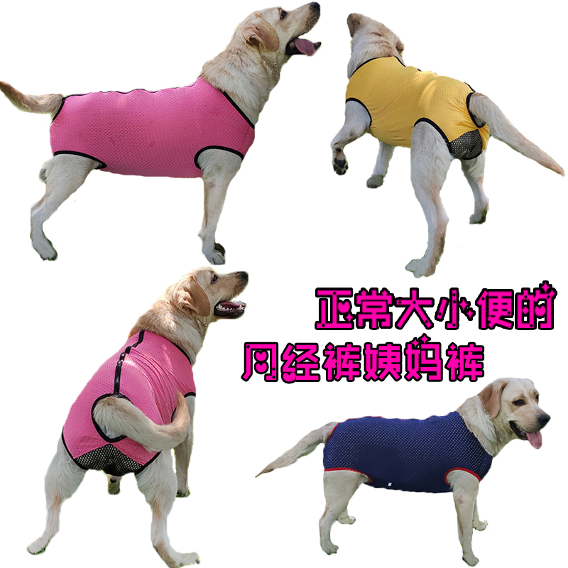 金毛狗狗大中型犬连体生理裤可小便母狗防骚扰月经裤姨妈裤卫生裤