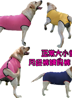 金毛狗狗大中型犬连体生理裤可小便母狗防骚扰月经裤姨妈裤卫生裤