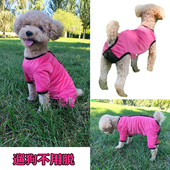 月经期防骚扰避孕裤 安全裤 生理裤 泰迪犬母狗狗姨妈裤 网兜洞洞薄款