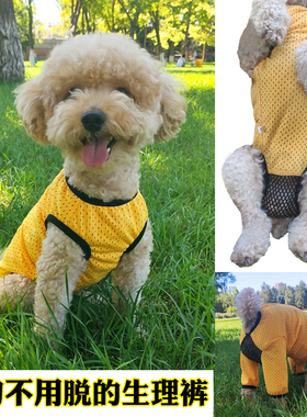 宠物狗狗月经姨妈裤连体生理裤母狗防尿衣服防骚扰避孕遛狗免脱薄