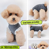 可排便月经期卫生裤 泰迪犬狗狗生理裤 纯棉拉链全包裹防骚扰姨妈裤