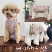 泰迪比熊犬夏季 衣服狗狗包肚子背心冰丝碎花小红花包肚压褶皱薄款