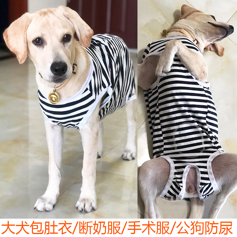 大型犬包肚衣服纯棉绝育服护肚