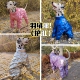 冬天中大型犬拉布拉多包护肚子全包裹加厚保暖大狗狗羽绒服四脚衣