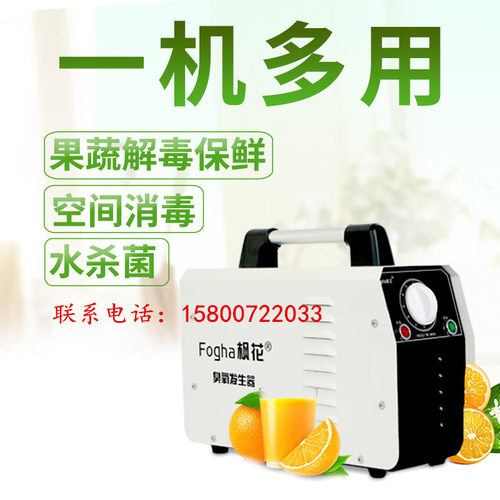 商用消毒杀菌臭氧发生器食品厂