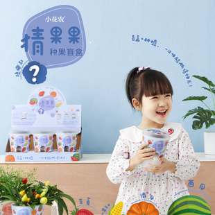 种植小盆栽自吸水套装蔬菜水果盲盒小花农迷你向日葵室内