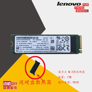 英特尔/PM981/ NS730 1TB M.2 NVME 固态硬盘 PCIE 2280 送散热器