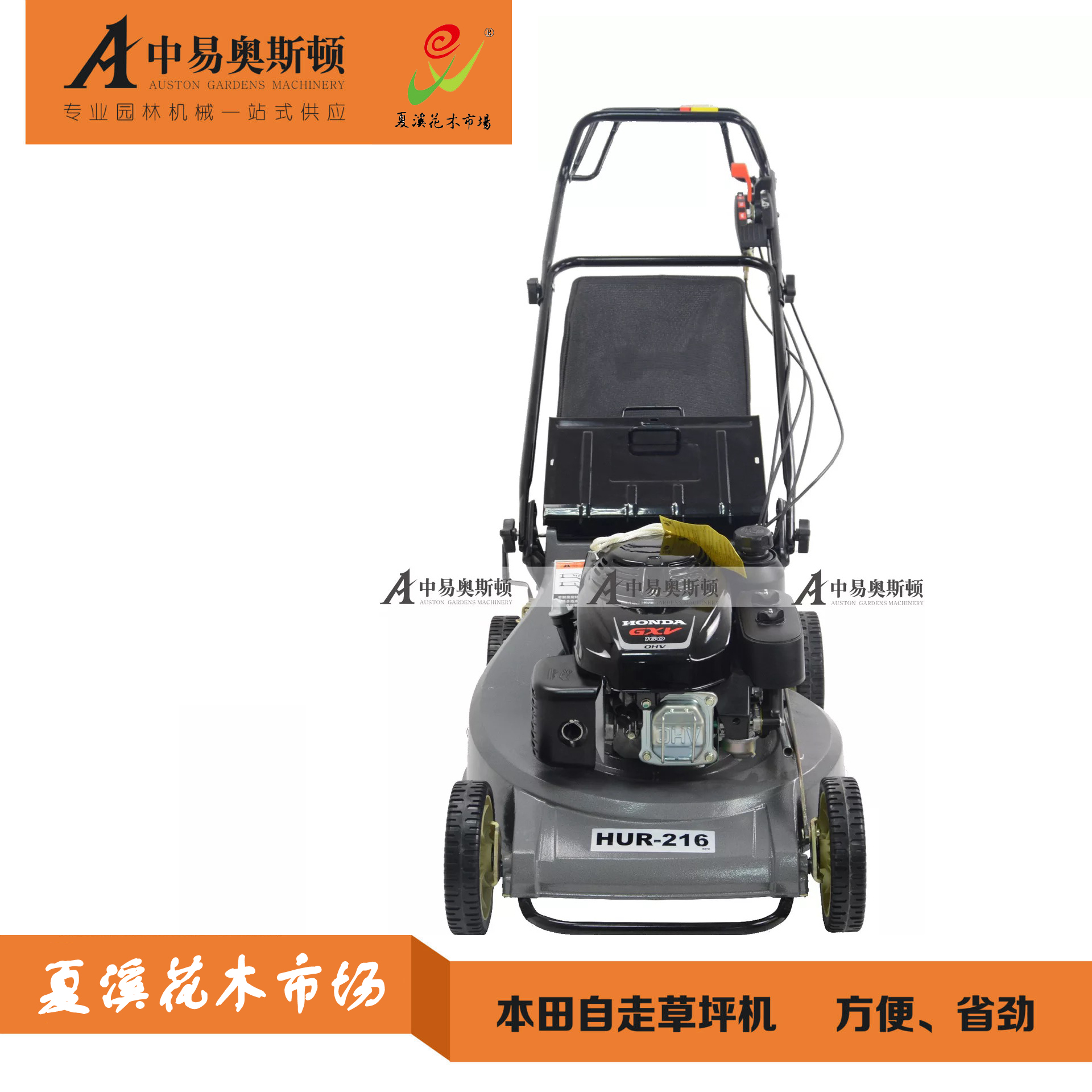 本田割草机HONDA21寸自走草坪机原装进口GXV160动力