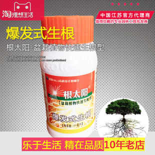 园林养护 根太阳爆发式 生根 盆栽植物生根型 花卉苗木专用生根剂