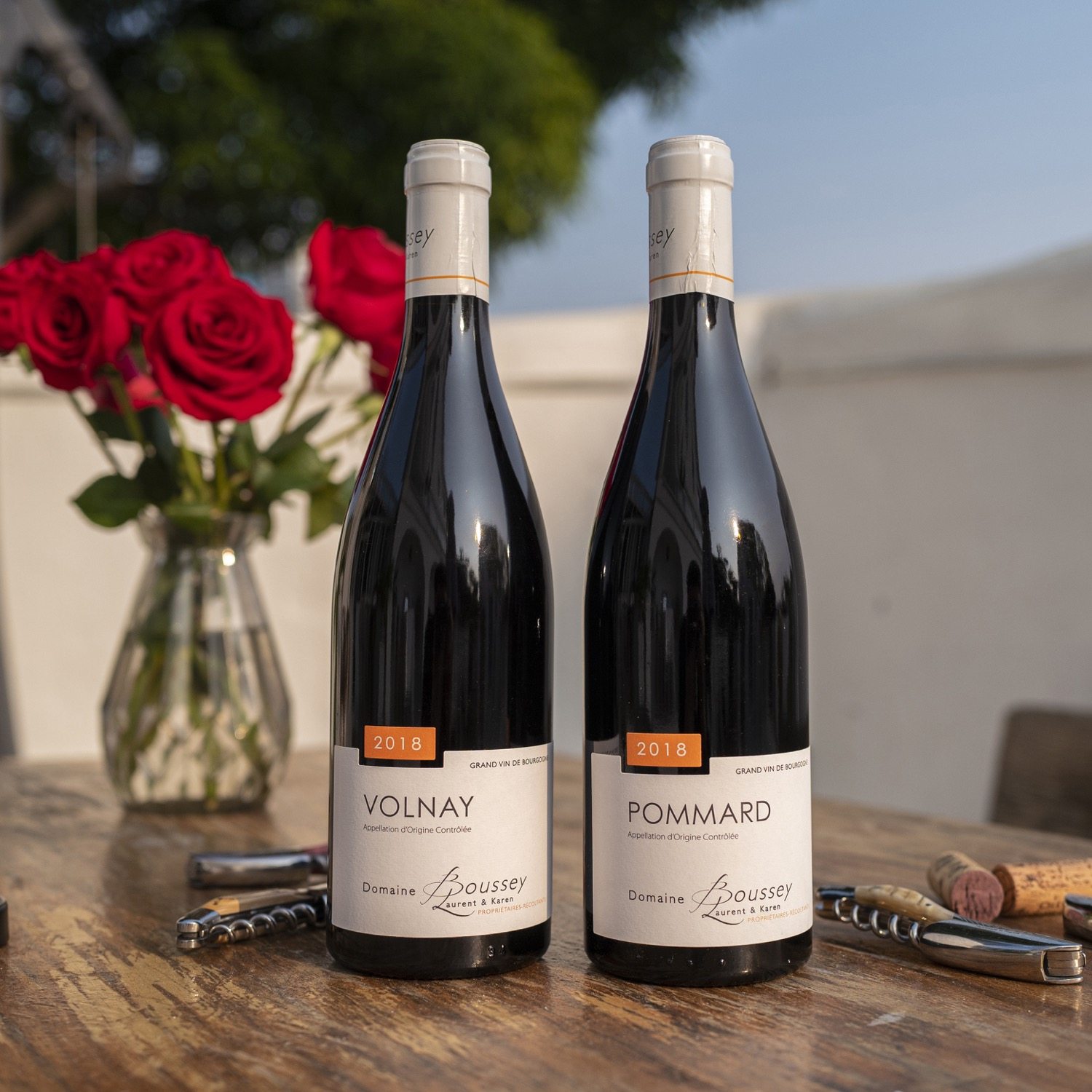 原瓶进口法国勃艮第pommard/volnay aoc黑皮诺干红葡萄酒2018行货