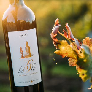 法国小众精品 波尔多AOC红酒2019原瓶进口 罕有五种葡萄混酿