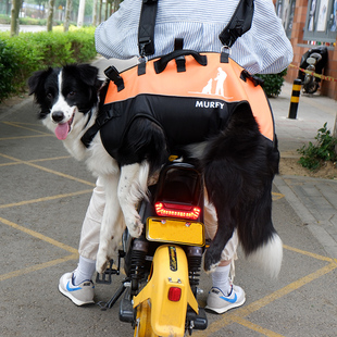 新款 宠物中大型犬背包背狗神器背狗包双肩包便携外出助行患病大狗