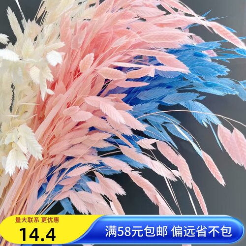 永生干花永生花小盼草