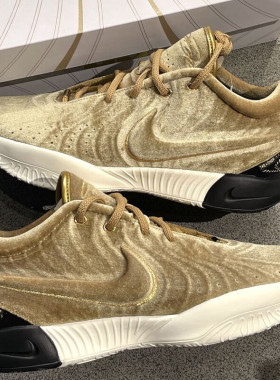 Nike Zoom Lebron 21 詹姆斯LBJ21缓震抗扭耐磨篮球鞋 FZ7884-700