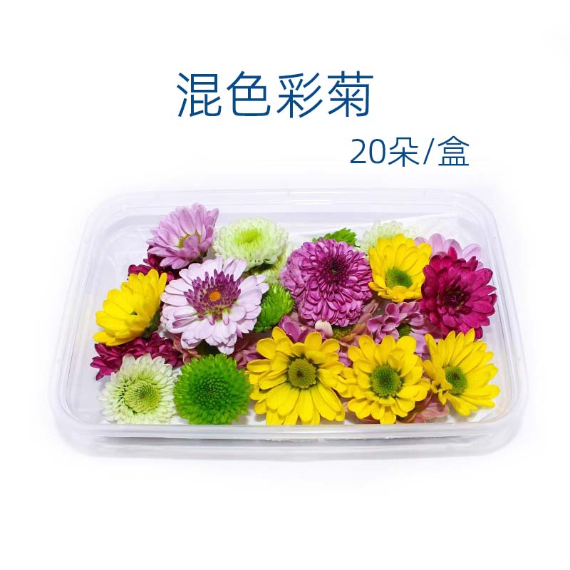 新鲜彩菊混合菊花小菊花20朵