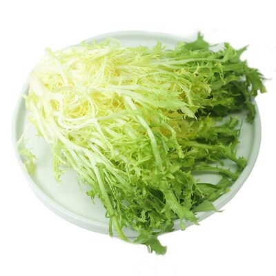 苦苣黄心狗牙沙拉蔬菜