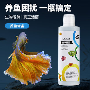 亚甲基蓝观赏鱼专用白点病鱼缸消毒杀菌专用烂身烂尾水霉病非鱼药
