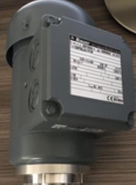 BAUER BG06-31D06LA4-TFSP电机BG06-31D06LA4-TFSP电机