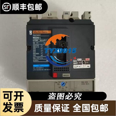 梅兰日兰Merlin高分段断路器NS160LNS250L3P125160250A