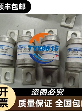 FERRAZ熔断器保险6.6URGJ31/315660VAC315A