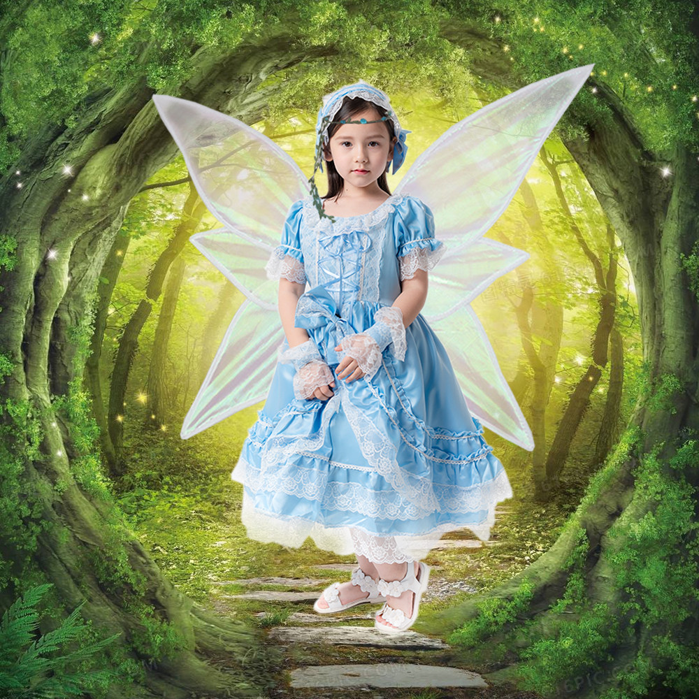绿野仙踪圣诞节仙女精灵演出服写真森系梦幻摄影童话故事公主裙