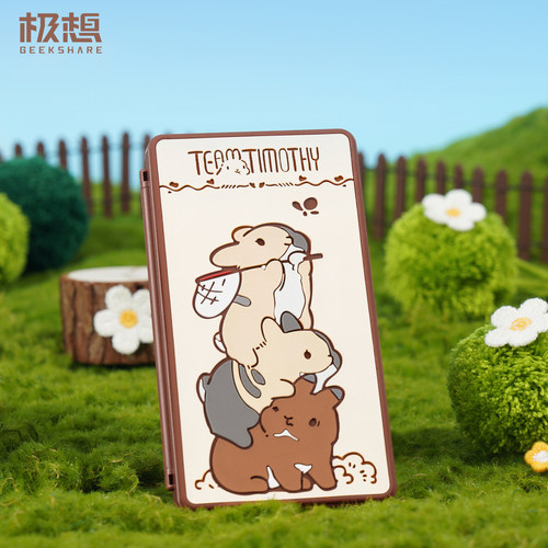 极想&提摩西switch2游戏卡卡盒