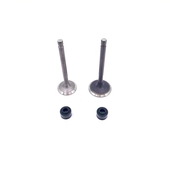 适用轻骑铃木乐至QS110T丽至110T气缸体QS110T进气门 排气门油封