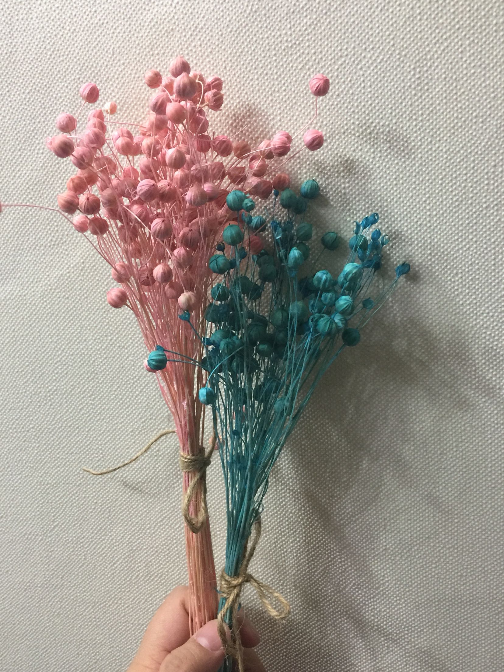 倒挂花束永生花干燥花小豆果束拍摄道具插花搭配一束20小枝糖果色