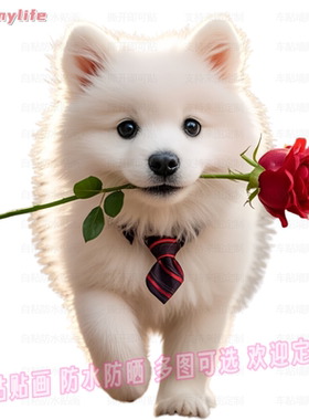 治愈系可爱萨摩耶狗狗自粘贴画贴室内墙壁车身电脑行李箱装饰贴画