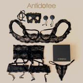 托胸性感花边面具水钻胸贴五件套 定制全蕾丝吊袜带乳贴套装