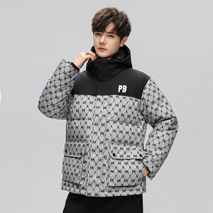 2025冬季新款潮流保暖加厚时尚90%白鸭绒羽绒服夹克外套H303-P160图片