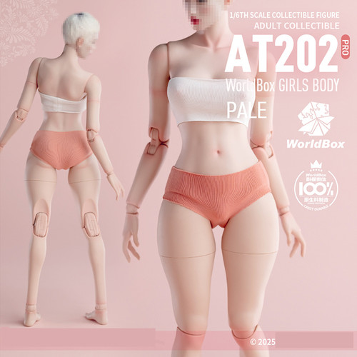 WorldboxAT202pro1/6