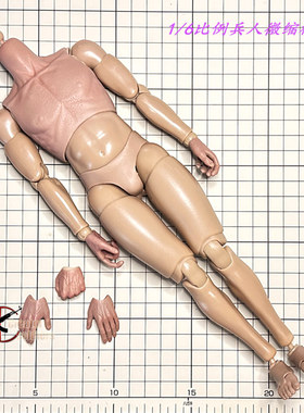 森哥 SoldierStory 1/6兵人 SS121 自卫反击战 素体 现货