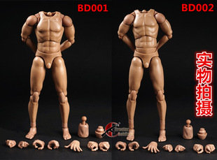 森哥 1/6 兵人 COOMODEL 标准体型 窄肩2.0BD001/高素体BD002现货