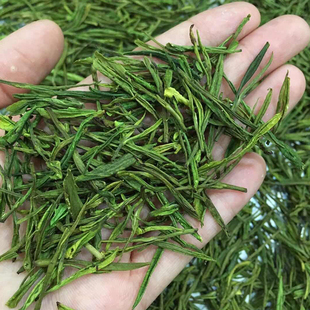 萌岩茶业 浙江安吉白茶明前茶叶 雨前绿茶春茶新茶500克包邮