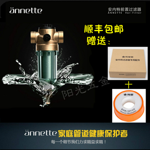 伟星安内特annette德国原装进口虹吸反冲洗自来水家用前置过滤器