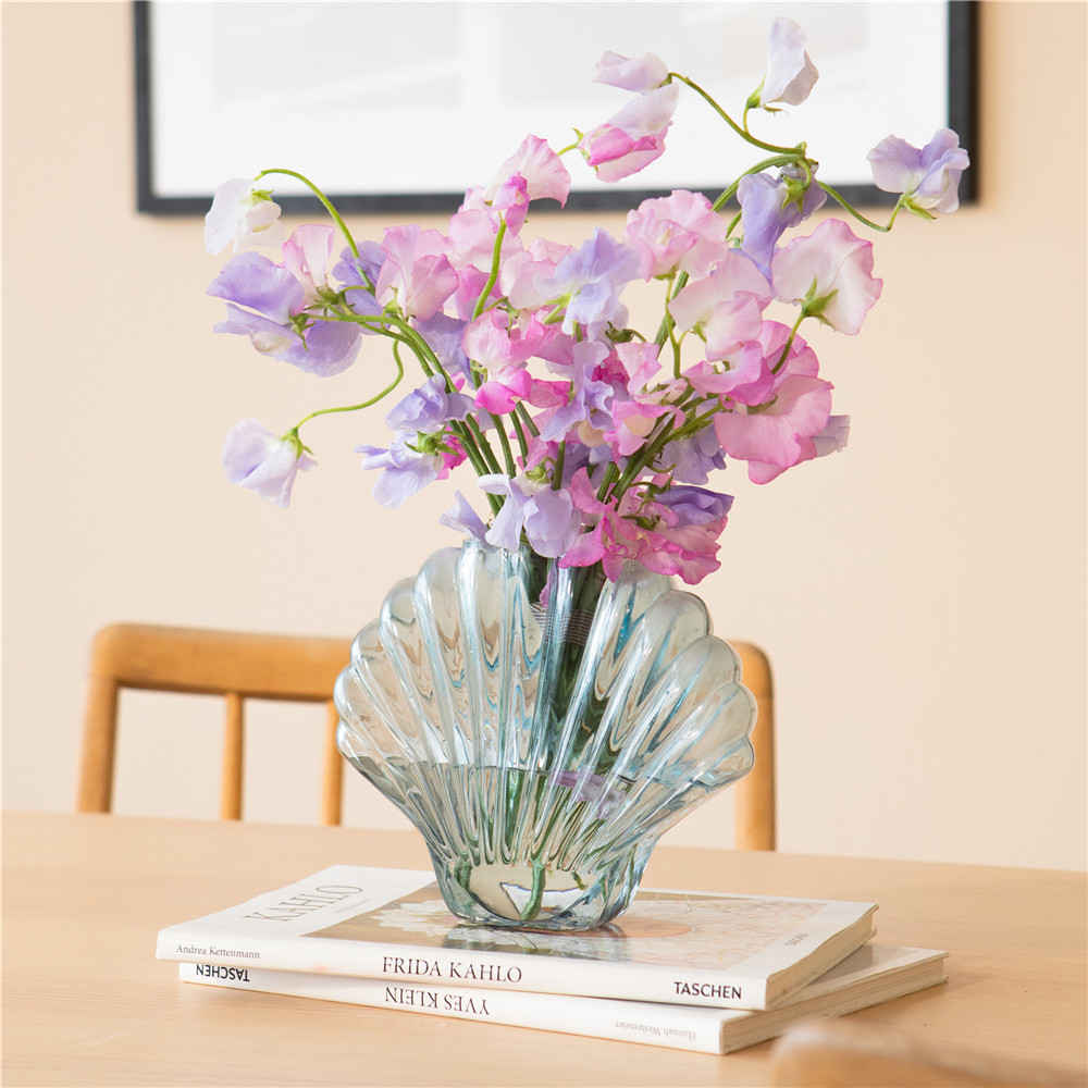 Doiy玻璃扇贝贝壳造型花瓶