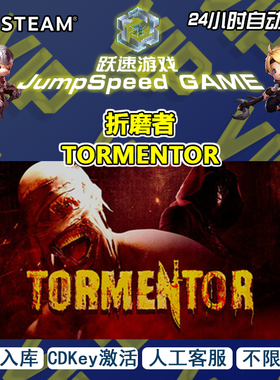 steam 游戏 折磨者 TORMENTOR 激活入库 PC端 人工客服 售后无忧
